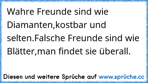 Spruch echte freunde falsche freunde